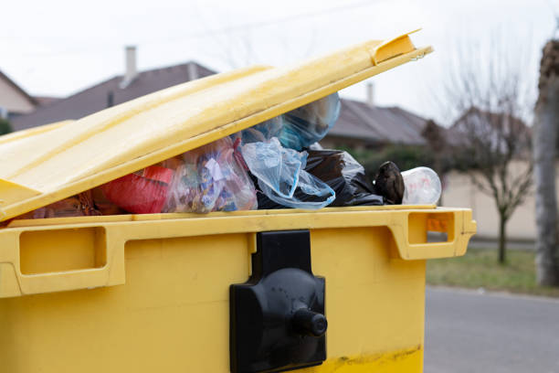 Best Property Management Cleanouts  in St Robert, MO